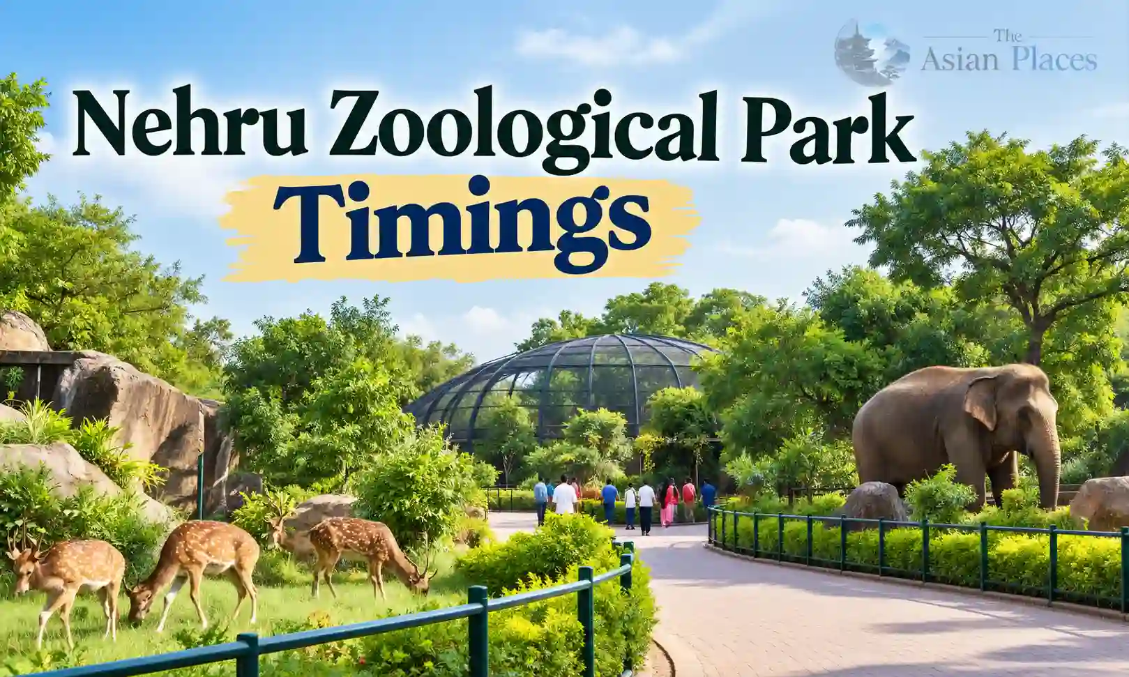 Nehru Zoological Park Timings