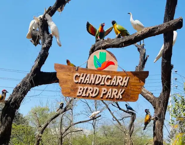 Chandigarh Bird Park Ticket Price 2026